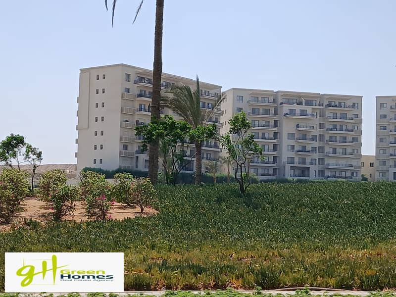 3 WhatsApp Image 2025-10-27 at 13.14. 43 (5). jpeg