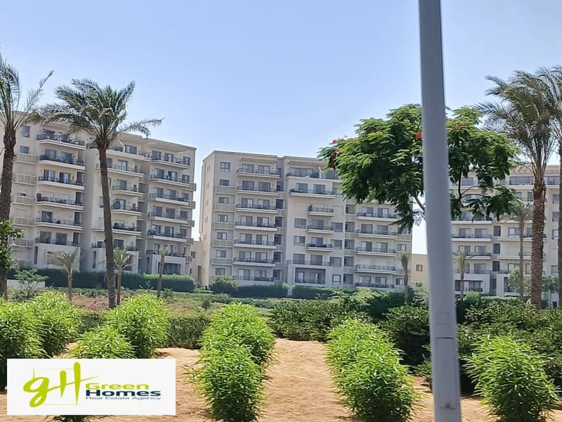 6 WhatsApp Image 2025-10-27 at 13.14. 44 (2). jpeg