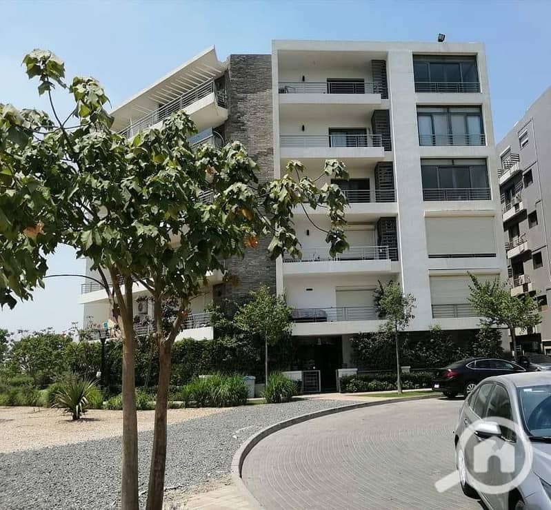 4 589202042_1159632592891265_7445155824602823011_n. jpg