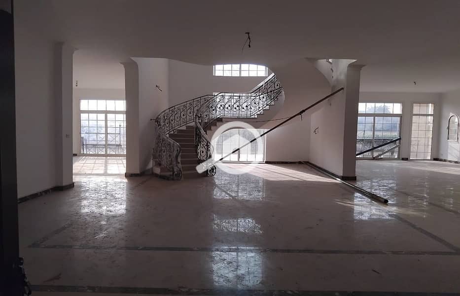 7 f7513452-8467-4ce1-81dd-7b57c66e799e. jpg