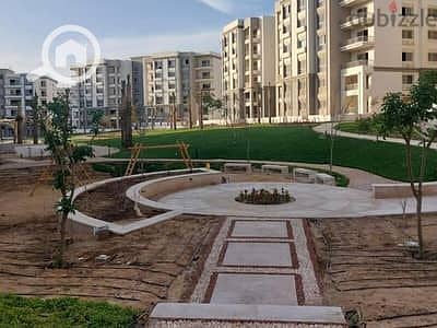 5 95065978-400x300. jpeg