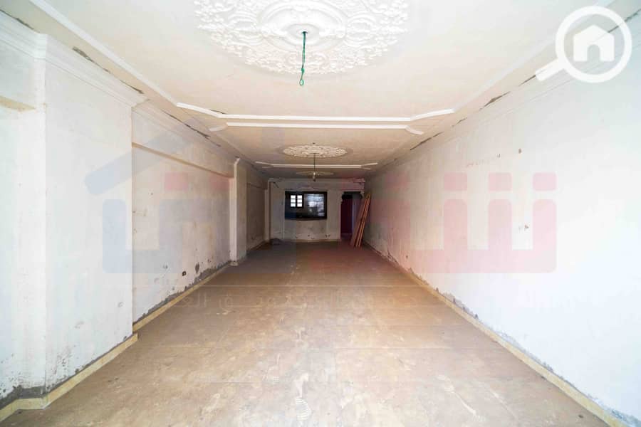 DSC04248. jpg DSC04248. jpg