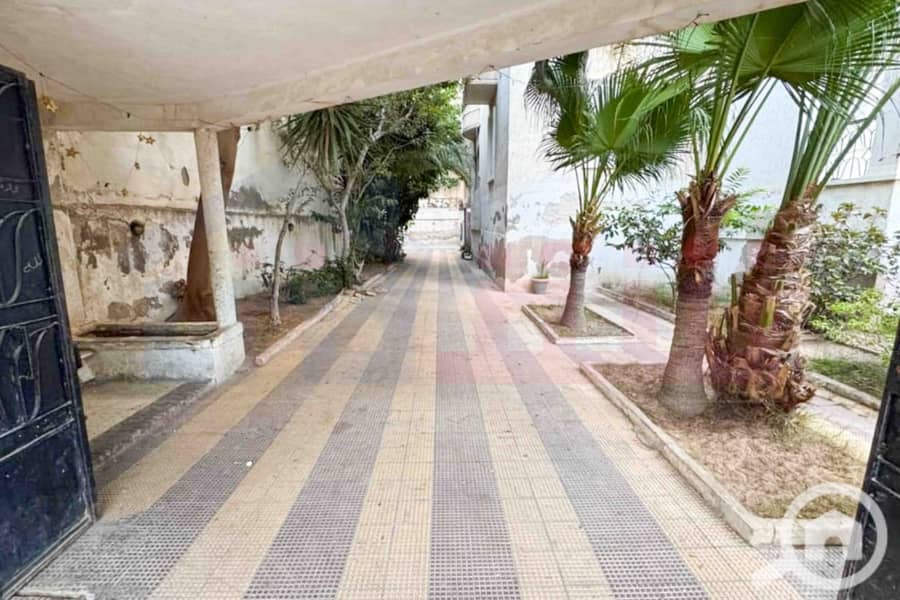 5 WhatsApp Image 2025-12-24 at 11.04. 09 (2). jpg