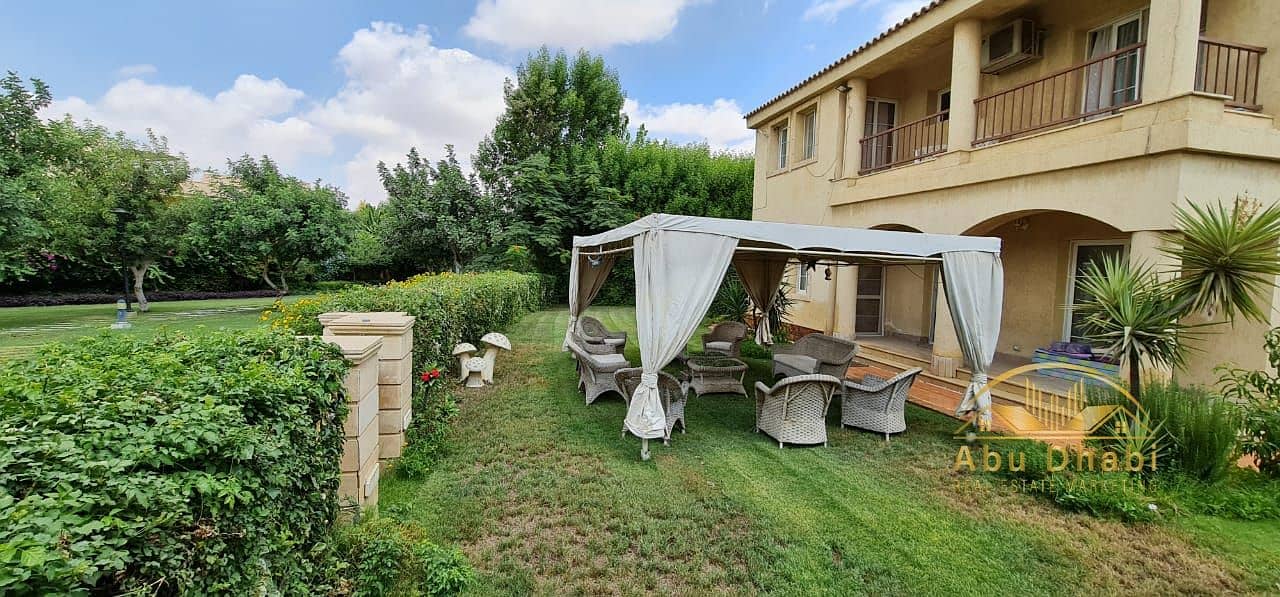 5 20d63d54-3c59-43fc-a7ea-b69b2759361f. jpg