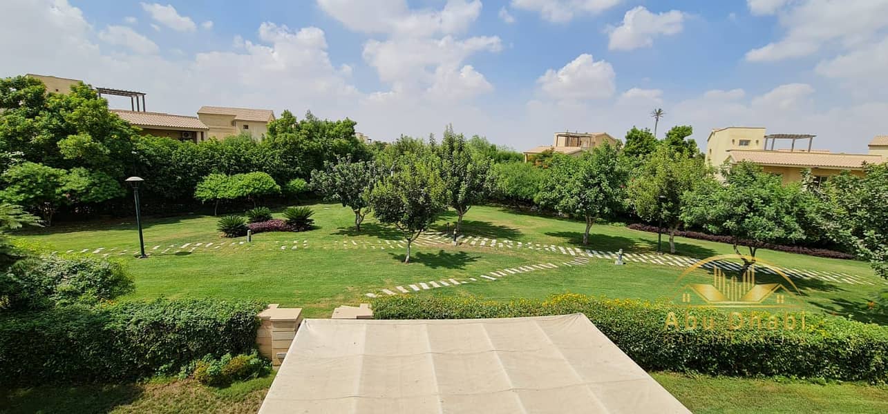 7 319b9d97-d5e0-462b-b94a-26a02609ce83. jpg