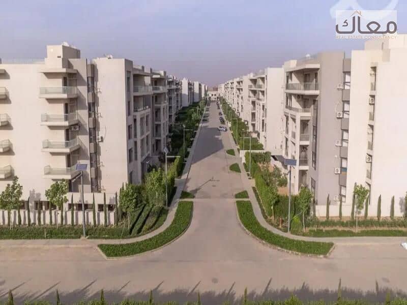 4 e7be8953-9465-4757-b076-1c76fcb2c68d. jpg