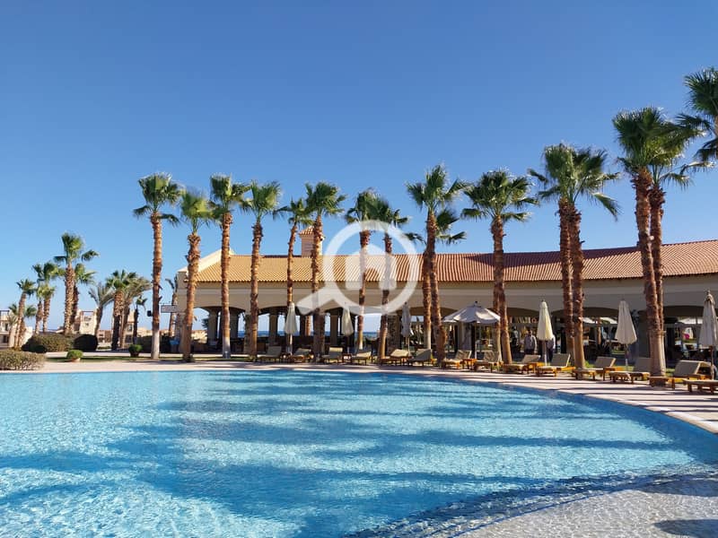 6 20240130_141726. jpg