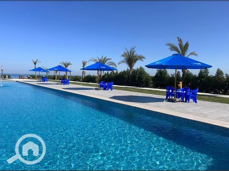 4 55daa6ce-75ab-4aaa-99a8-13d57e6223b5. jpg