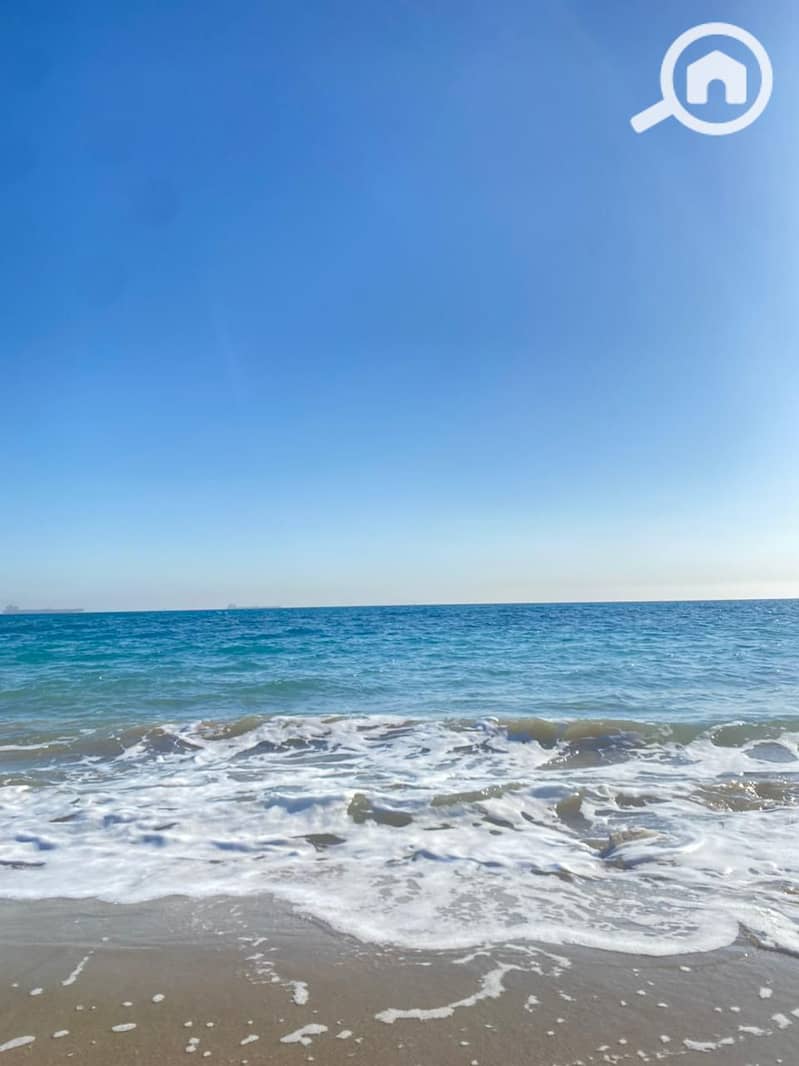 7 83db4b3a-b31b-445d-b5b1-9dd52e7e7553. jpg