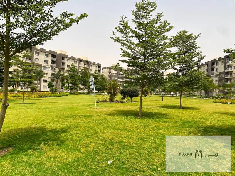 4 6156aab6-5e5b-4e00-a227-54f6a94f8fb1. jpg