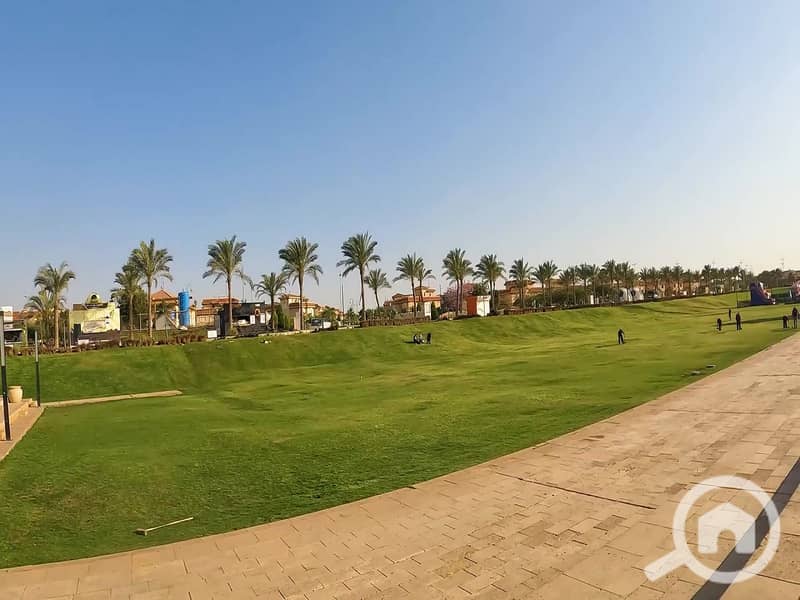 8 011b2ab8-65ca-43c5-87a3-3403386ebc5d. jpeg