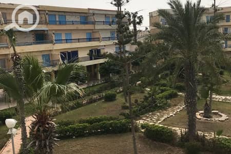 2 Bedroom Chalet for Sale in North Coast, Matruh - 1. jpg