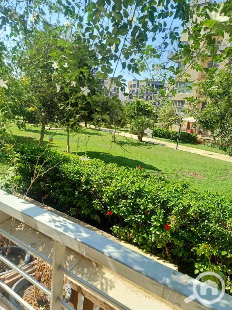 2 0c57953e-b483-4228-aa33-8907379f9294. jpg