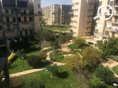 فلیٹ 3 غرف نوم للايجار في مدينتي، القاهرة - 308c67b2-6b40-41d4-9b89-29b2422c5adc. jpg