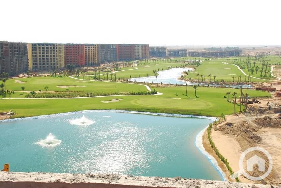 13 1fd7963e-555a-4c1e-8a63-25fedc23667a. jpeg