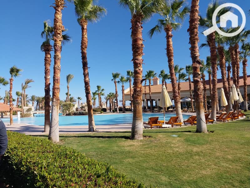 5 20240130_141650. jpg