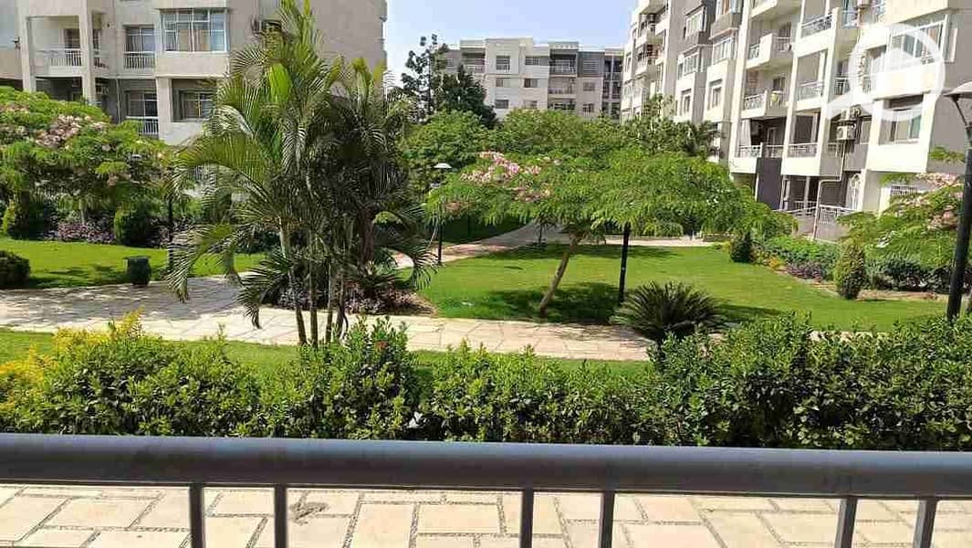 3 FB_IMG_1733831872077. jpg