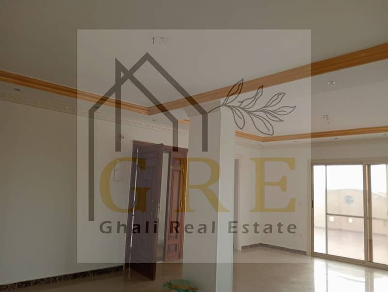 5 19f61f8b-8ae2-473f-a367-1ed471ddd861. jpg