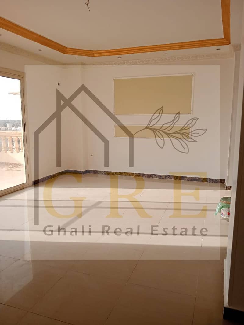 13 ee84ac8b-9969-4d4a-8715-b83a7af74ed7. jpg