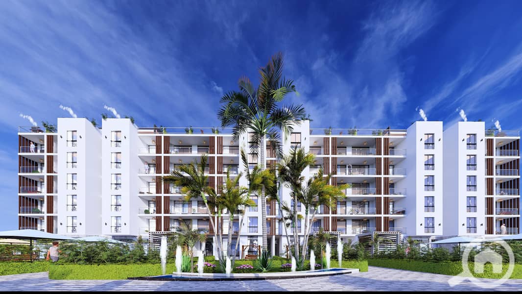 7 day_14 - Photo - Copy - Copy. jpg