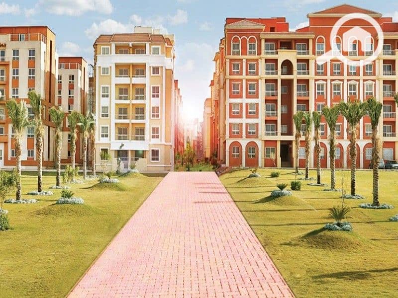 4 477fee09-2fc8-4fcb-99b9-96eb406ee47d. jpg