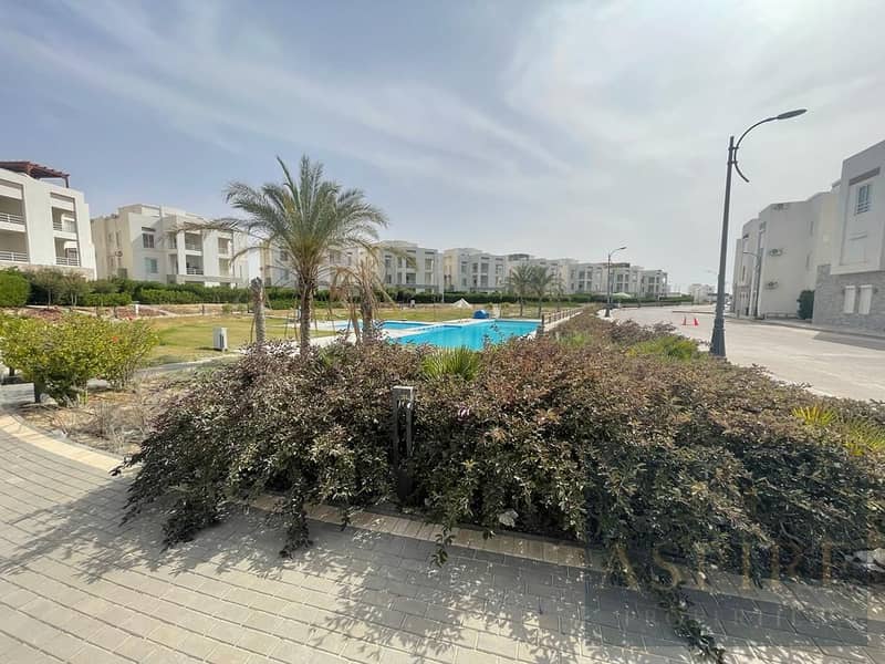 2 WhatsApp Image 2025-12-04 at 17.49. 30_b76fbac3. jpg