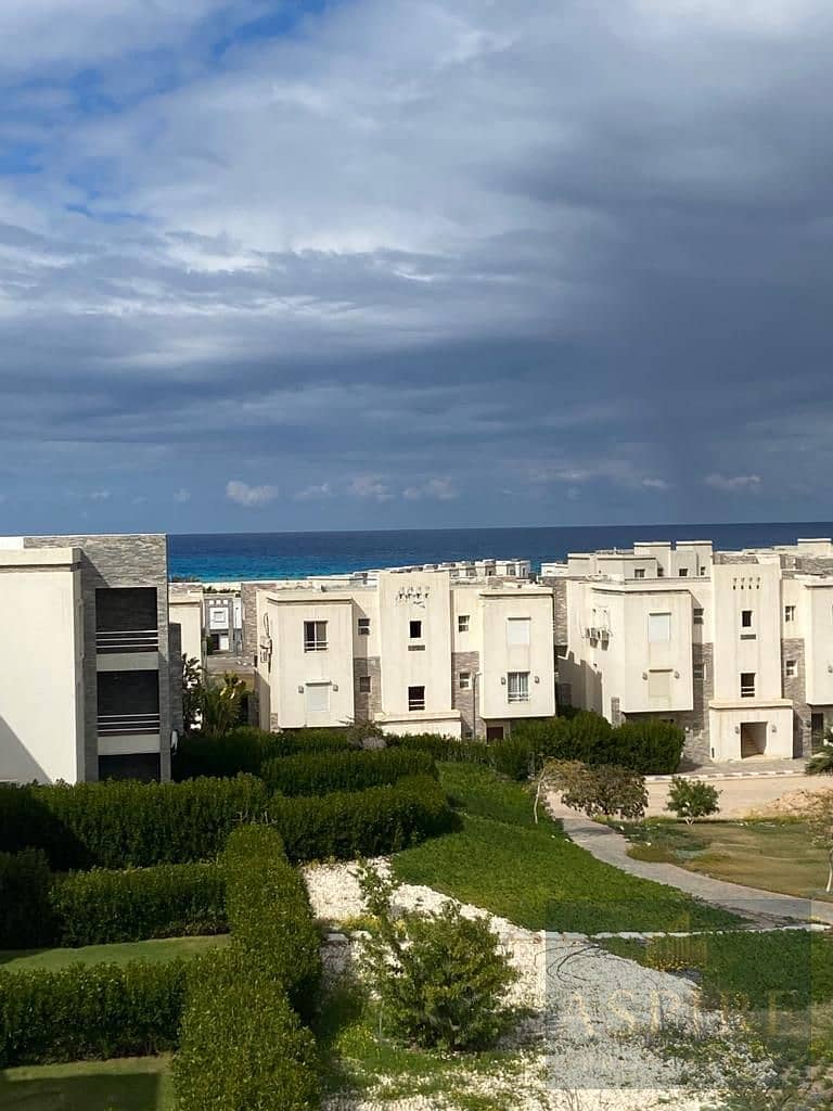 IMG-20251130-WA0340. jpg IMG-20251130-WA0340. jpg