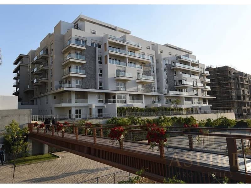 7 IMG-20241031-WA0042. jpg