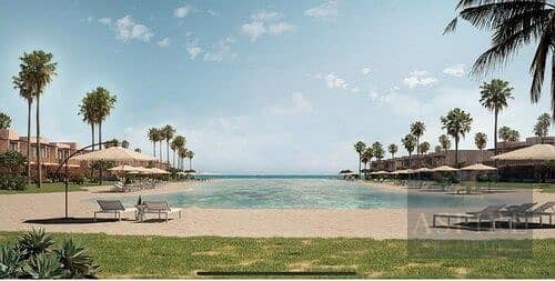 8 medium_1afI5N5ay1nxvX7ZbB25qLoQQBFuQH. jpg