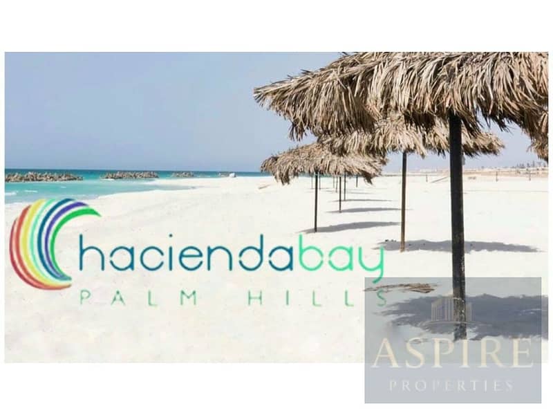 9 WhatsApp Image 2024-12-23 at 1.48. 22 PM. jpg