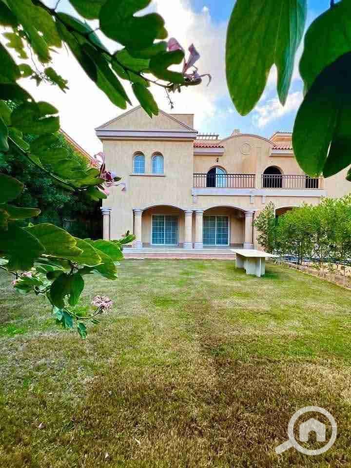 1000242382. jpg 1000242382. jpg