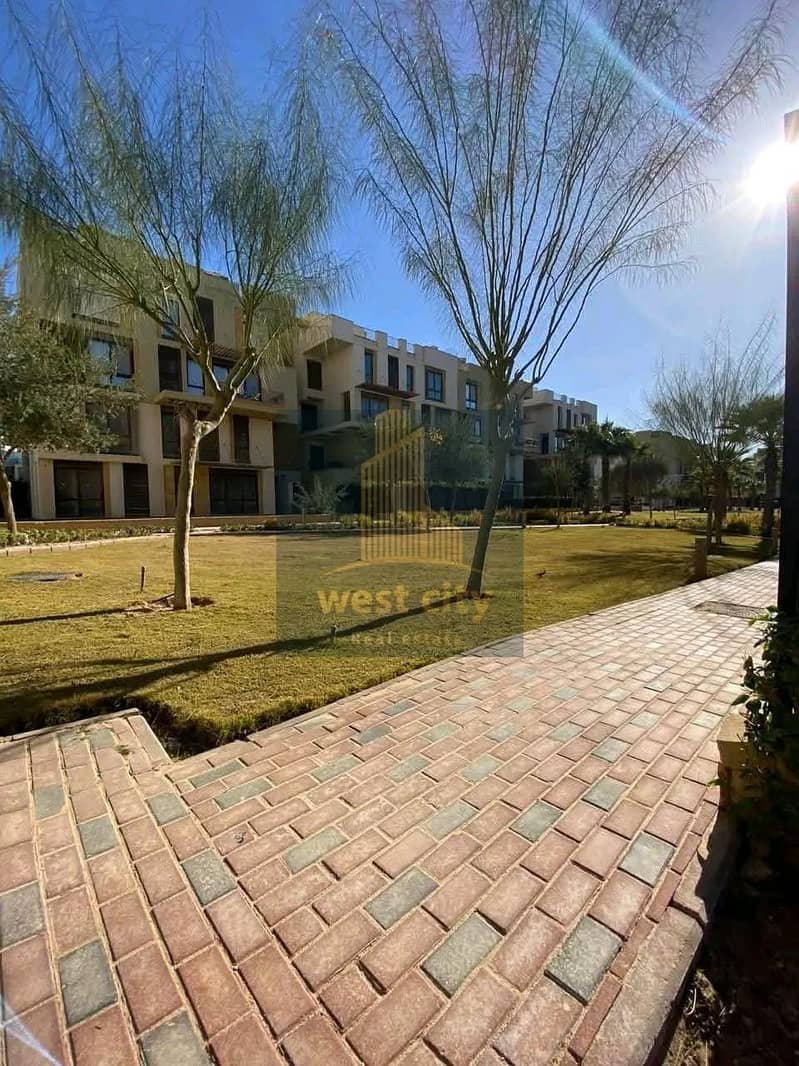 5 1766842318676. jpg