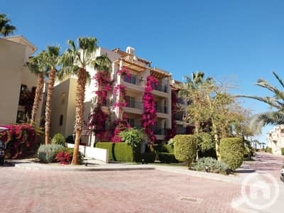 1 Bedroom Apartment for Sale in Sahl Hasheesh, Red Sea - 20240130_143536. jpg