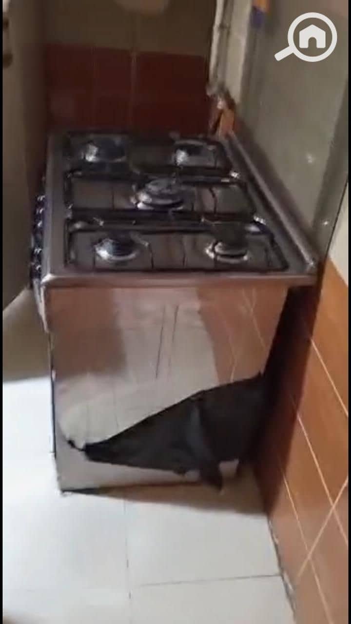 6 WhatsApp Image 2025-12-27 at 4.08. 15 PM (1). jpeg