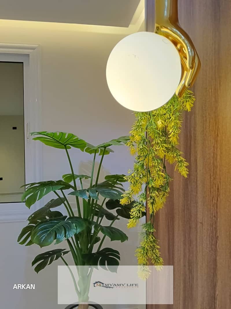 4 WhatsApp Image 2025-12-24 at 11.18. 12 PM (1). jpeg