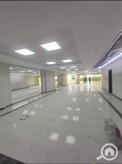 Office for Rent in Maadi, Cairo - WhatsApp Image 2025-12-27 at 4.09. 09 PM (2). jpeg