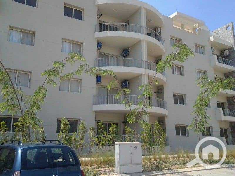 6 55e86774df1e8. jpg