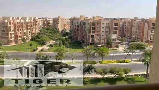 3 Bedroom Apartment for Rent in Madinaty, Cairo - 1002959009. jpg