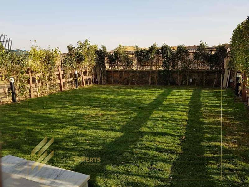 7 e9769de1-304d-4822-a822-e9b6ddeac001. jpg