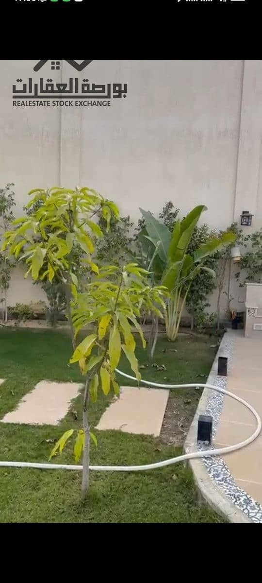 6 572755104_1217215207094644_8738040204709057544_n. jpg