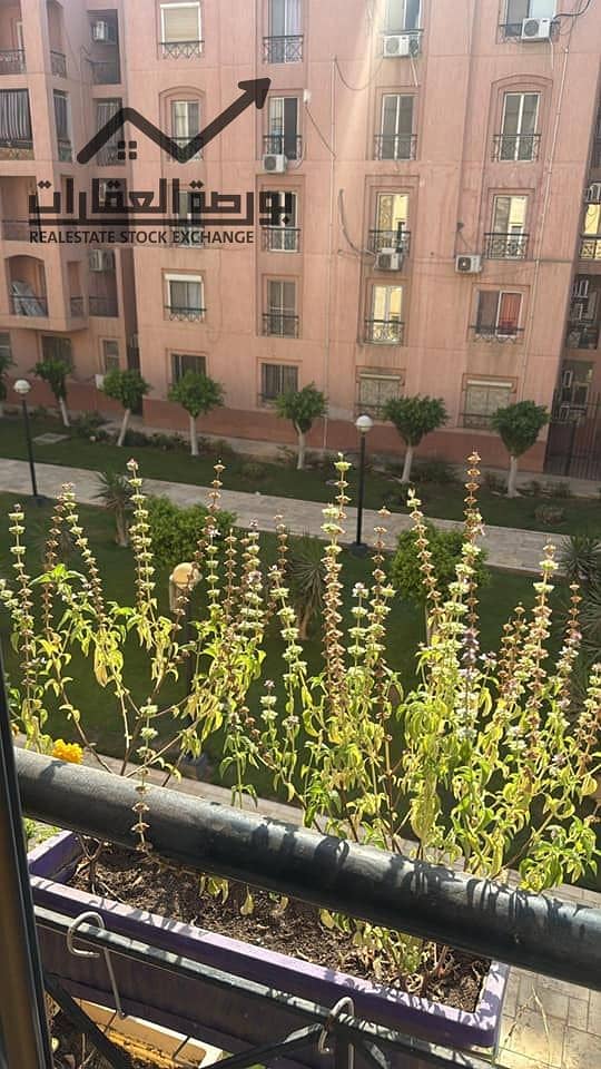 3 539606400_10165962985248135_1137180117834613863_n. jpg