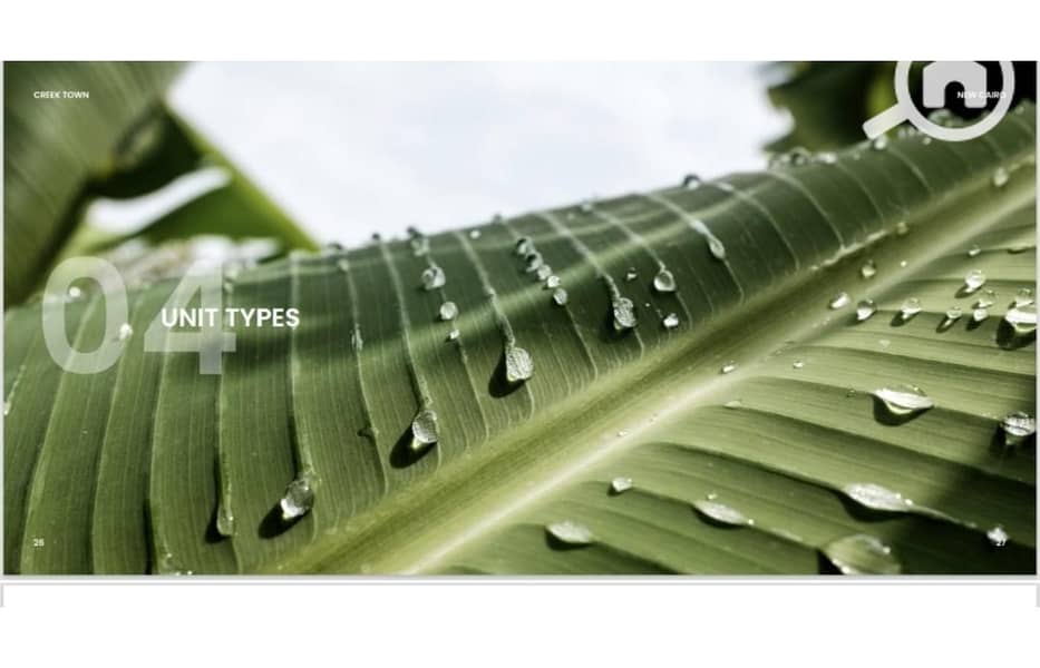 12 WhatsApp Image 2025-10-12 at 4.57. 48 PM (1). jpg