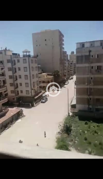 فلیٹ 2 غرفة نوم للبيع في النخيل، الإسكندرية - WhatsApp Image 2025-12-27 at 4.51. 48 PM (2). jpeg