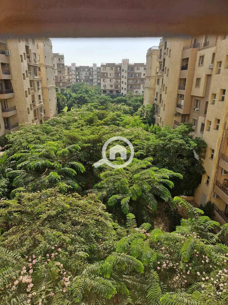 4 35ccaaaf-a62c-4dff-8f44-cacb5646dd89. jpg