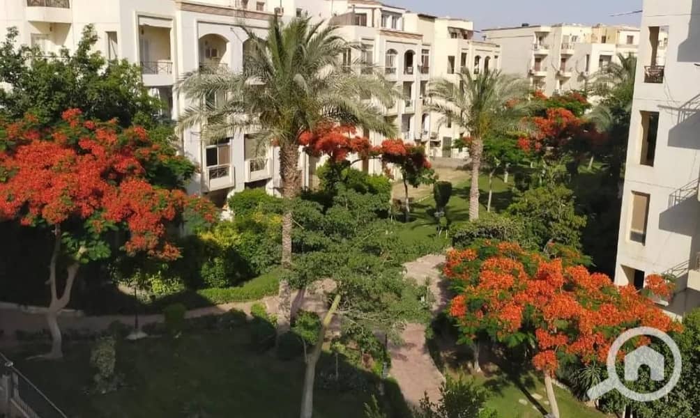 9 8431926-f7b3ao. jpg