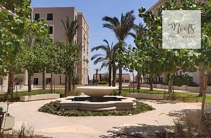 2 efd6do-416x272. jpg