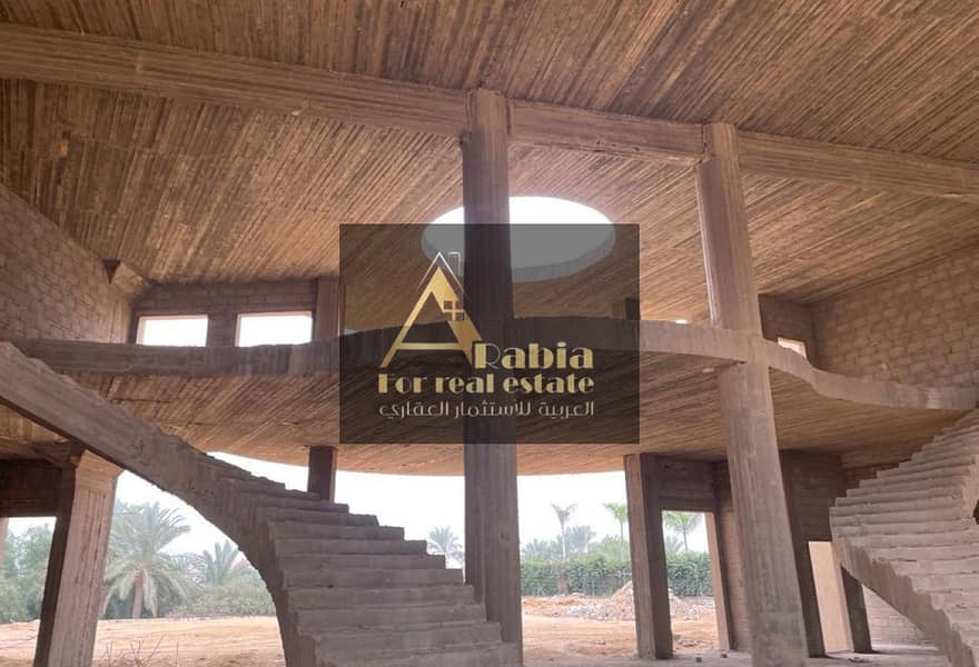 3 22851d67-c7d8-4ada-a9e6-bc3c53dc8103. jpg