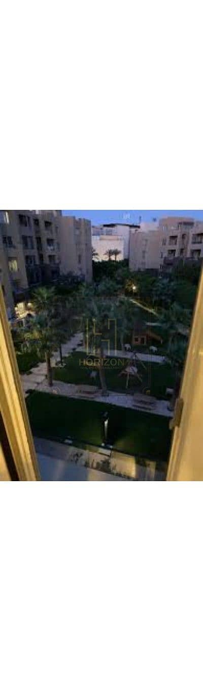 5 1111111111111111111111111. jpg