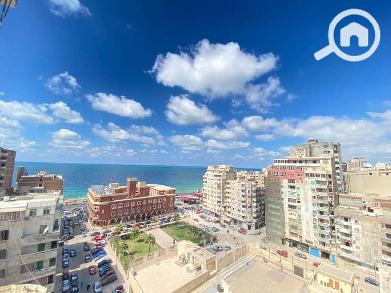 21918f40-e93d-40a5-a372-44cb077923dd. jpg 21918f40-e93d-40a5-a372-44cb077923dd. jpg