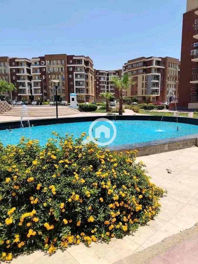 17 5d15e66f-0bac-4a36-8c57-ed80b88f80e5. jpg